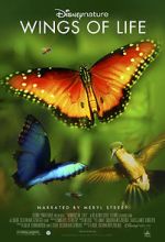 Watch Disneynature: Wings of Life Zumvo