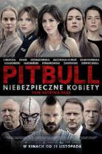 Watch Pitbull: Tough Women Zumvo