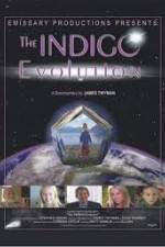 Watch The Indigo Evolution Zumvo