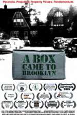 Watch A Box Came to Brooklyn Zumvo