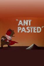 Watch Ant Pasted Zumvo