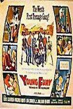 Watch Young Fury Zumvo