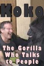 Watch Koko: The Gorilla Who Talks to People Zumvo