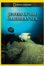 Watch National Geographic Jewels of the Caribbean Sea Zumvo