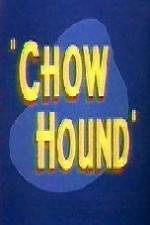 Watch Chow Hound Zumvo