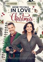Watch How to Fall in Love by Christmas Zumvo