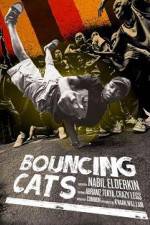 Watch Bouncing Cats Zumvo