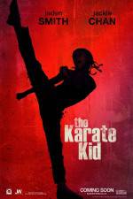 Watch The Karate Kid Zumvo