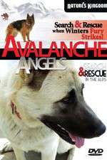 Watch Avalanche Angels Zumvo