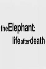 Watch The Elephant - Life After Death Zumvo