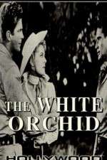 Watch The White Orchid Zumvo