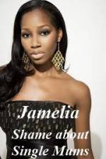 Watch Jamelia - Shame about Single Mums Zumvo