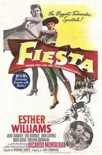 Watch Fiesta Zumvo