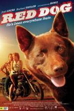 Watch Red Dog Zumvo