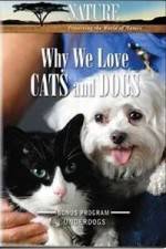 Watch Why We Love Cats And Dogs Zumvo