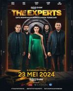 Watch The Experts Zumvo