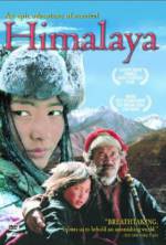 Watch Himalaya Zumvo