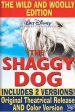 Watch The Shaggy Dog Zumvo