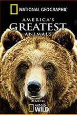 Watch America's Greatest Animals Zumvo