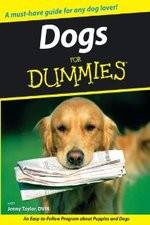 Watch Dogs for Dummies Zumvo