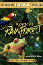 Watch Tropical Rainforest Zumvo