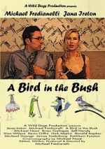 Watch A Bird in the Bush Zumvo