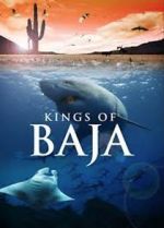 Watch Kings of Baja Zumvo