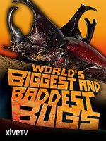 Watch World\'s Biggest and Baddest Bugs Zumvo