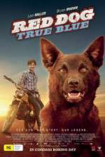 Watch Red Dog True Blue Zumvo