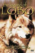 Watch The Legend of Lobo Zumvo