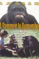 Watch A Summer to Remember Zumvo