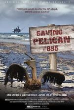 Watch Saving Pelican 895 (Short 2011) Zumvo