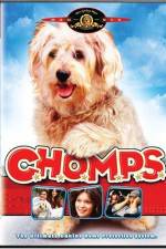 Watch CHOMPS Zumvo