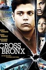 Watch Cross Bronx Zumvo