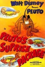 Watch Pluto\'s Surprise Package Zumvo