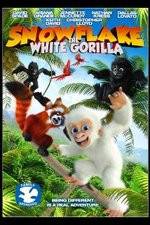 Watch Snowflake, the White Gorilla Zumvo