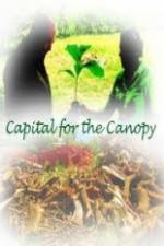 Watch Capital for the Canopy Zumvo