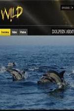 Watch National Geographic Wild Dolphin Army Zumvo