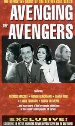 Watch Avenging the Avengers Zumvo