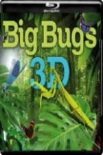 Watch Big Bugs in 3D Zumvo