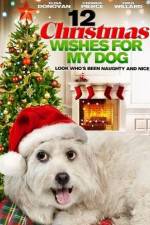 Watch 12 Christmas Wishes For My Dog Zumvo