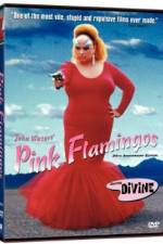 Watch Pink Flamingos Zumvo