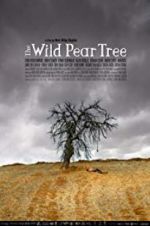 Watch The Wild Pear Tree Zumvo