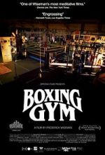 Watch Boxing Gym Zumvo