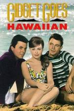 Watch Gidget Goes Hawaiian Zumvo