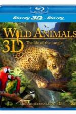 Watch Wild Animals - The Life of the Jungle 3D Zumvo