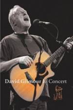 Watch David Gilmour in Concert - Live at Robert Wyatt's Meltdown Zumvo