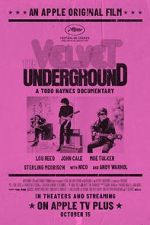 Watch The Velvet Underground Zumvo