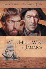 Watch A High Wind in Jamaica Zumvo