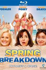 Watch Spring Breakdown Zumvo